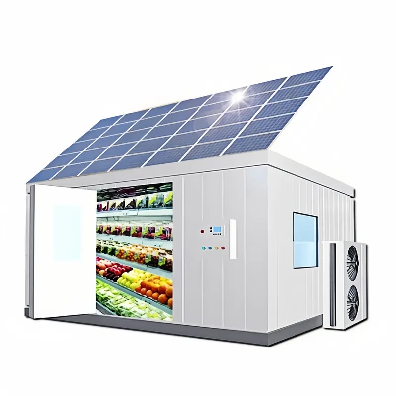 Power Tools Store - Zasilana energią słoneczną chłodnia przenośna do